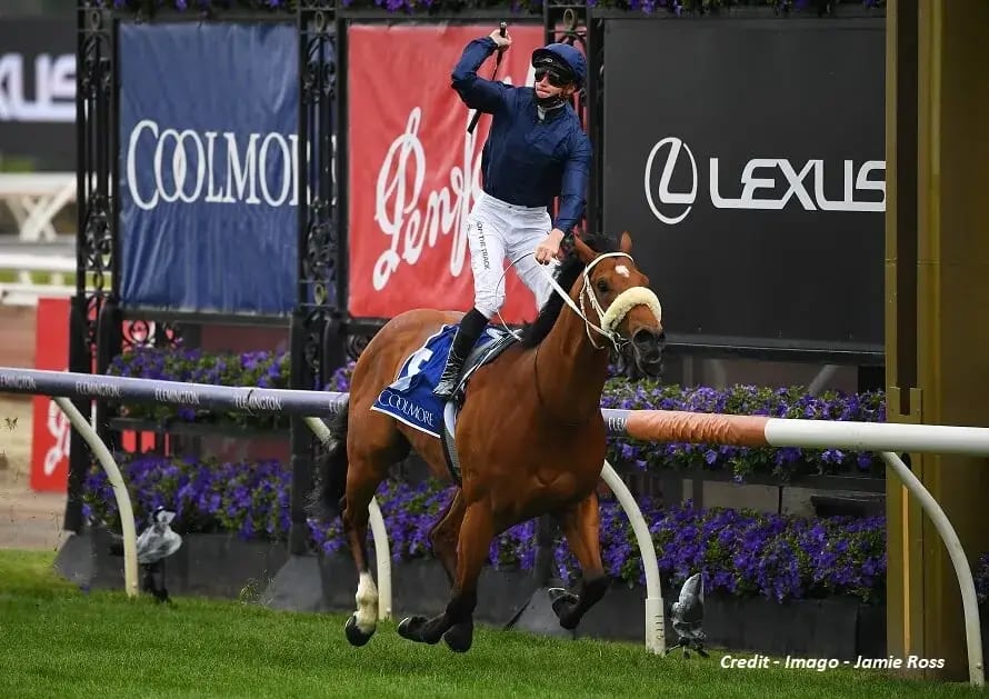 The Story Of Coolmore Stud